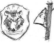 shieldhog sketch