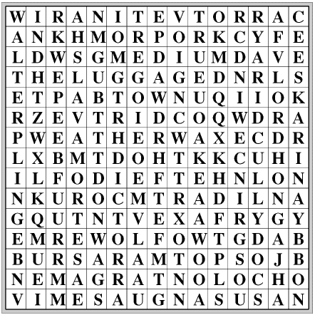 Wordsearch square